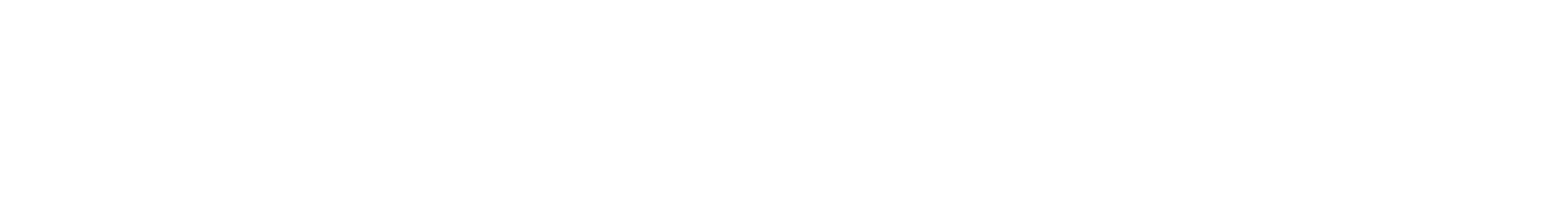 HES HOLDING Logo